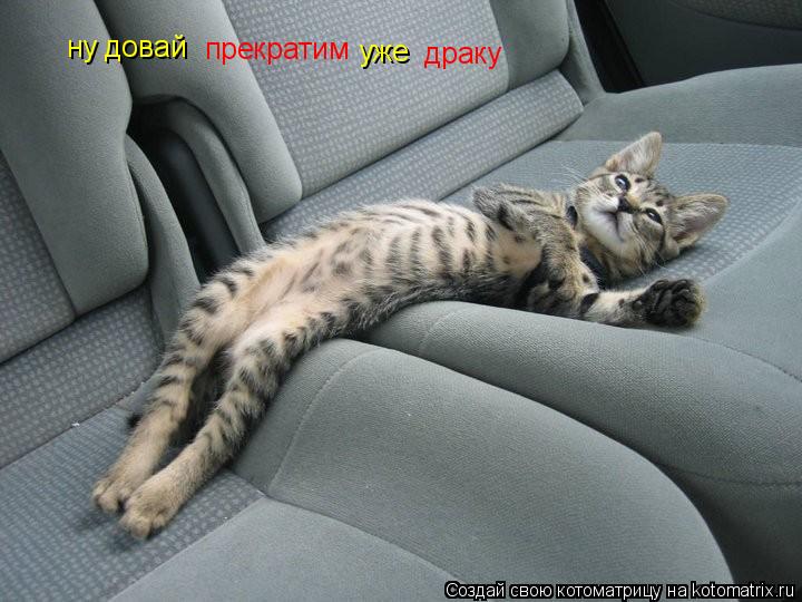 Котоматрица: ну довай ну довай прекратим  уже драку