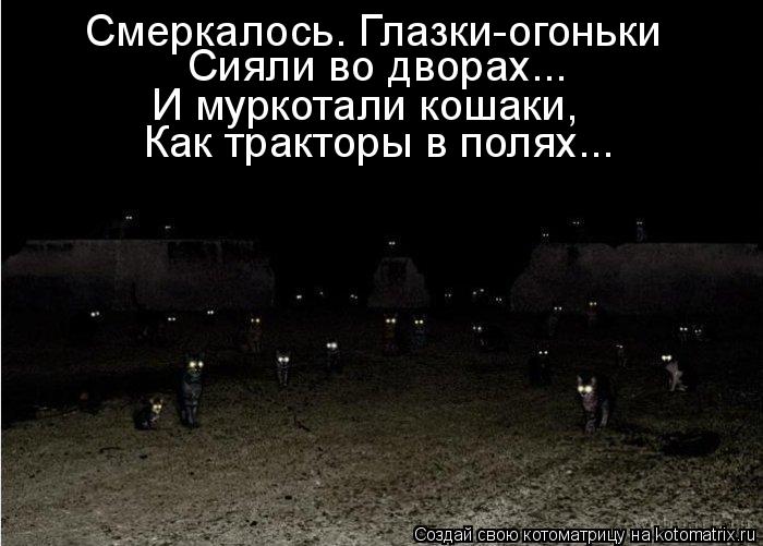 Котоматрица: Смеркалось. Глазки-огоньки Сияли во дворах... И муркотали кошаки, Как тракторы в полях...