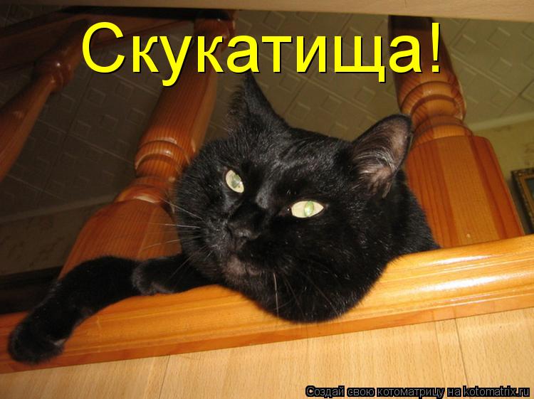 Котоматрица: Скукатища!