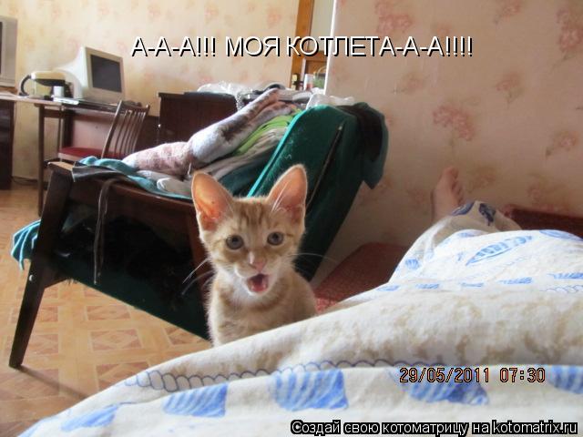 Котоматрица: А-А-А!!! МОЯ КОТЛЕТА-А-А!!!!