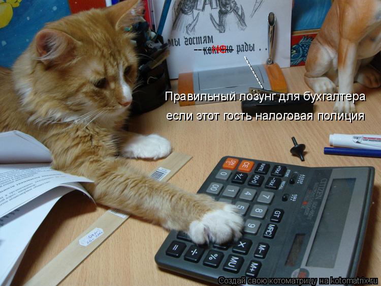 Котоматрица: --------- не Правильный лозунг для бухгалтера --------- если этот гость налоговая полиция