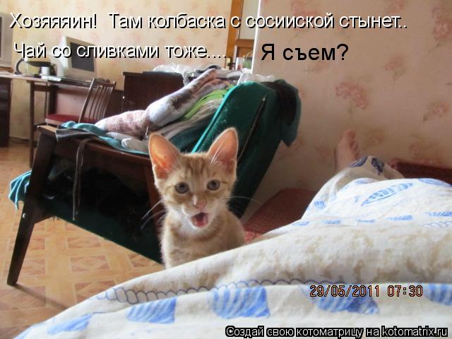 Котоматрица: Хозяяяин!  Там колбаска с сосииской стынет.. Чай со сливками тоже.... Я съем?