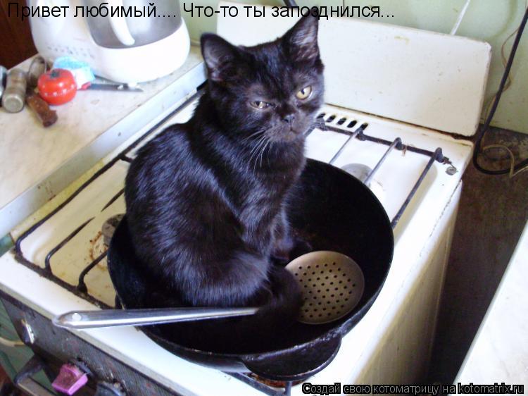 Котоматрица: Привет любимый.... Что-то ты запозднился...