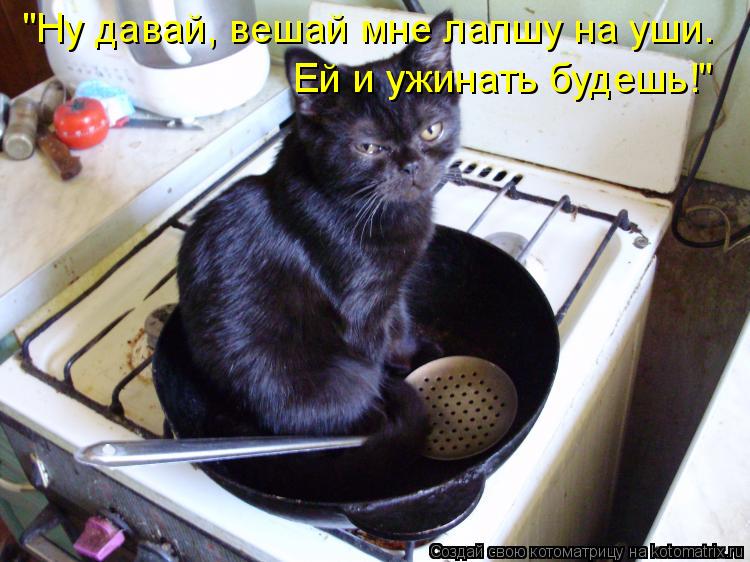 Котоматрица: "Ну давай, вешай мне лапшу на уши. Ей и ужинать будешь!"