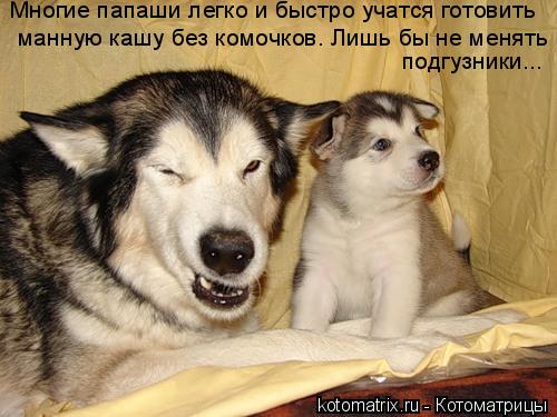 Многие папаши легко и быстро учатся готовить манную кашу без комочков. Лишь бы не менять подгузники..... Котоматрица: Многие папаши легко и быстро учатся готовить манную кашу без комочков. Лишь бы не менять подгузники...