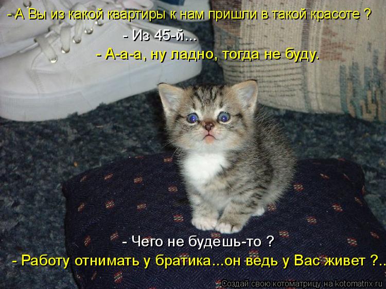 Котоматрица: - Из 45-й... - А-а-а, ну ладно, тогда не буду. - Чего не будешь-то ? - Работу отнимать у братика...он ведь у Вас живет ?.. - А Вы из какой квартиры к 