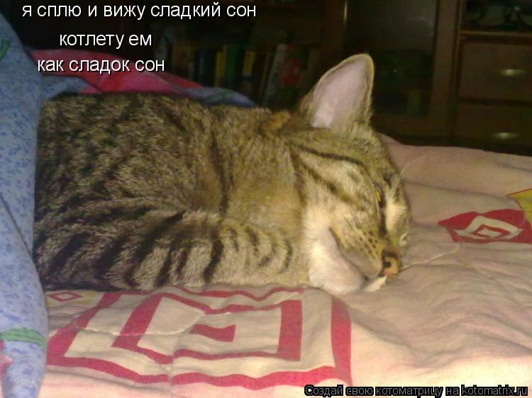 я сплю и вижу сладкий сон котлету ем как сладок сон... Котоматрица: я сплю и вижу сладкий сон котлету ем как сладок сон