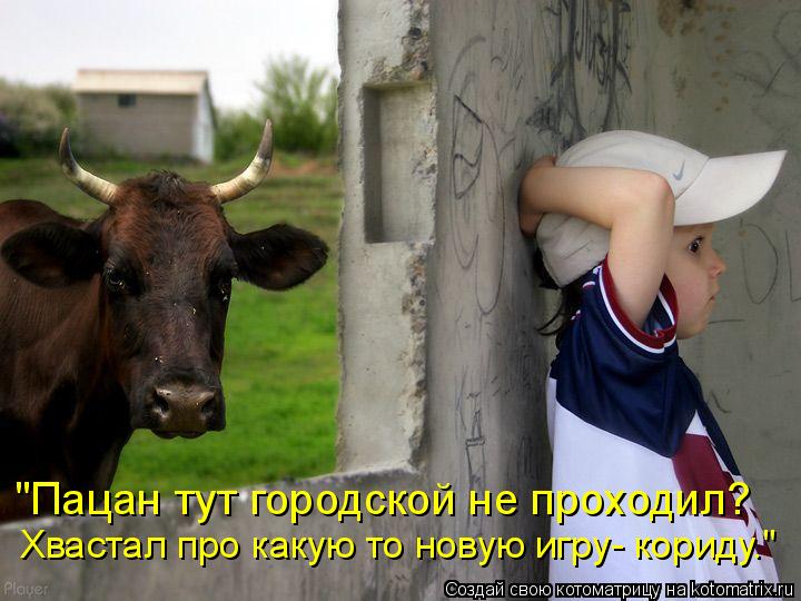 Котоматрица: "Пацан тут городской не проходил? Хвастал про какую то новую игру- кориду."