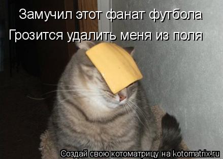 Замучил этот фанат футбола Грозится удалить меня из поля... Котоматрица: Замучил этот фанат футбола Грозится удалить меня из поля