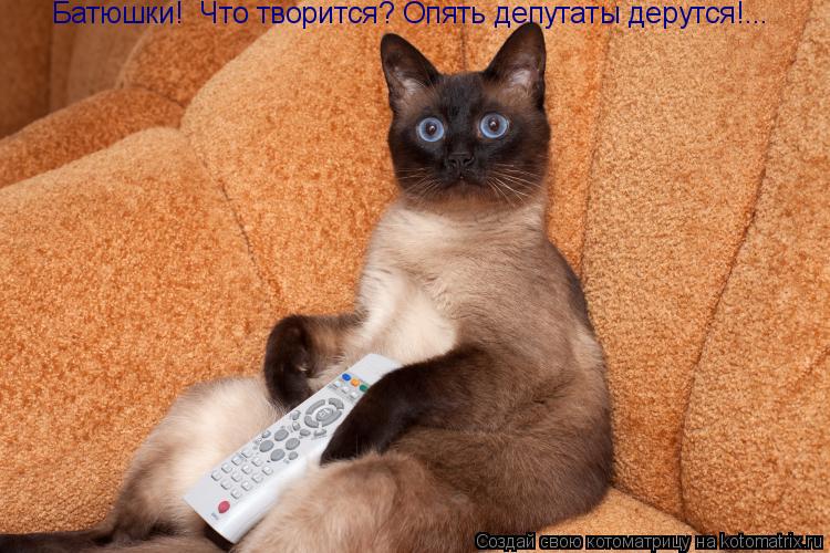 Батюшки! Что творится? Опять депутаты дерутся!...... Котоматрица: Батюшки! Что творится? Опять депутаты дерутся!...