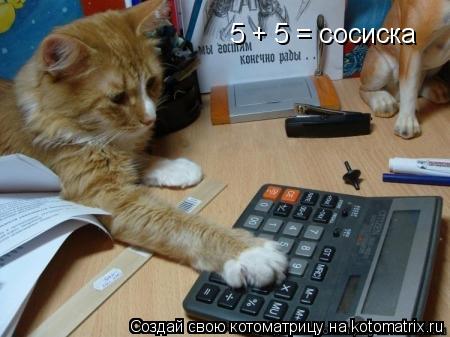 5 + 5 = сосиска... Котоматрица: 5 + 5 = сосиска