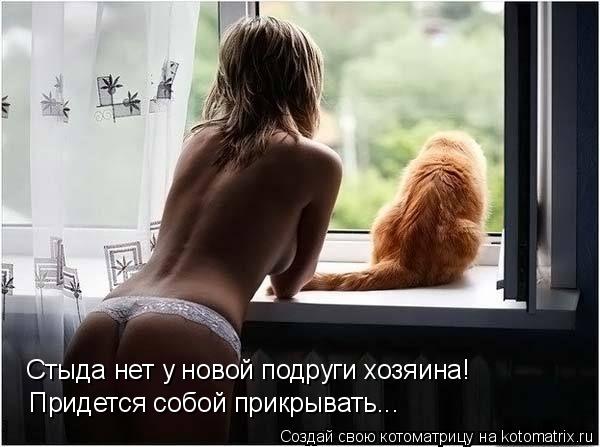 Котоматрица: Стыда нет у новой подруги хозяина! Придется собой прикрывать...