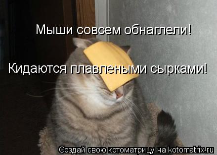 Котоматрица: Мыши совсем обнаглели!  Кидаются плавлеными сырками!
