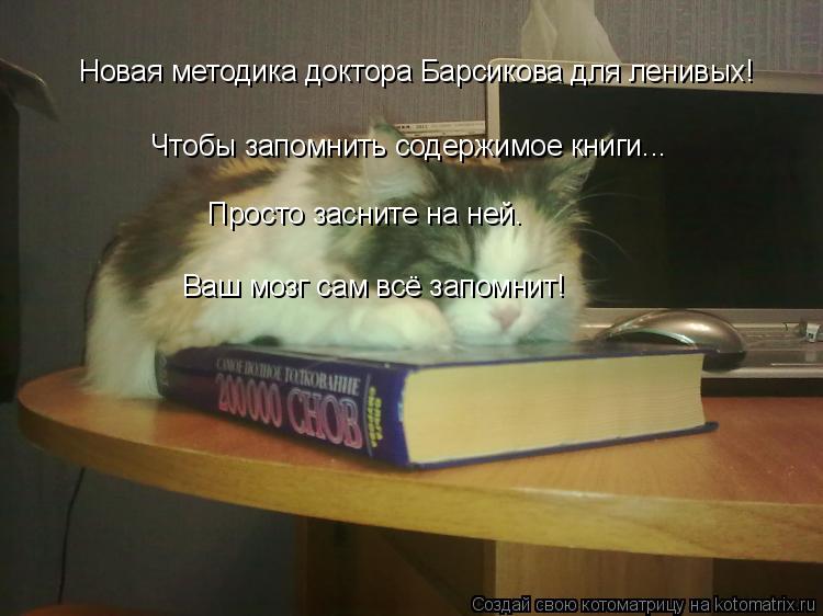 Котоматрица: Чтобы запомнить содержимое книги... Просто засните на ней. Ваш мозг сам всё запомнит! Новая методика доктора Барсикова для ленивых!