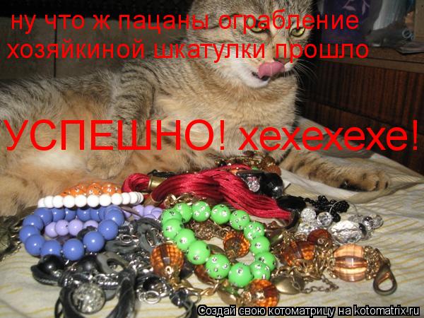 Котоматрица: ну что ж пацаны ограбление хозяйкиной шкатулки прошло УСПЕШНО! хехехехе!