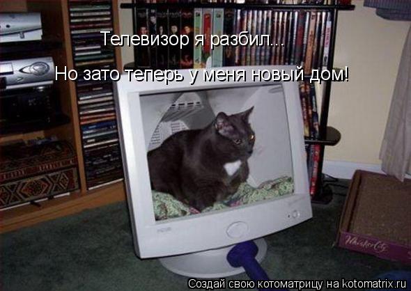 Котоматрица: Телевизор я разбил... Но зато теперь у меня новый дом!