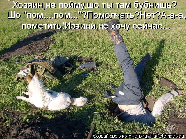Котоматрица: Хозяин,не пойму,шо ты там бубнишь? Шо "пом...,пом..."?Помолчать?Нет?А-а-а, пометить!Извини,не хочу сейчас...