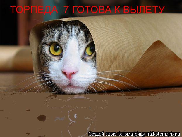 ТОРПЕДА №7 ГОТОВА К ВЫЛЕТУ... Котоматрица: ТОРПЕДА №7 ГОТОВА К ВЫЛЕТУ