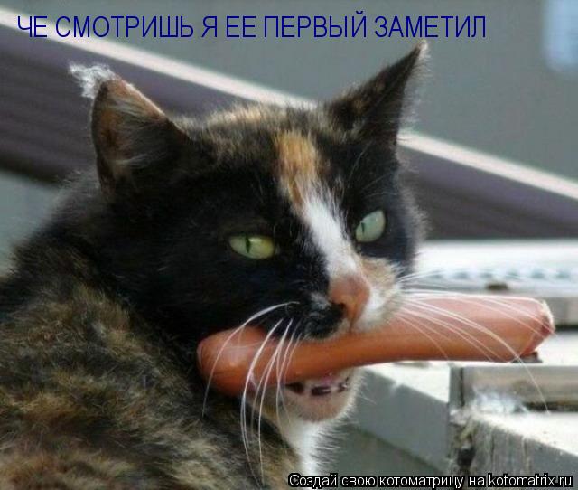 ЧЕ СМОТРИШЬ Я ЕЕ ПЕРВЫЙ ЗАМЕТИЛ... Котоматрица: ЧЕ СМОТРИШЬ Я ЕЕ ПЕРВЫЙ ЗАМЕТИЛ