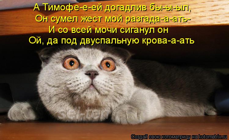 А Тимофе-е-ей догадлив бы-ы-ыл, Он сумел жест мой разгада-а-ать- И со всей мочи сиганул он Ой, да под... Котоматрица: А Тимофе-е-ей догадлив бы-ы-ыл, Он сумел жест мой разгада-а-ать- И со всей мочи сиганул он Ой, да под двуспальную крова-а-ать