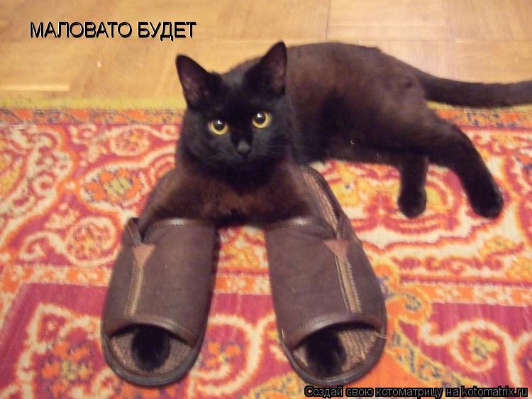 МАЛОВАТО БУДЕТ МАЛОВАТО БУДЕТ... Котоматрица: МАЛОВАТО БУДЕТ МАЛОВАТО БУДЕТ