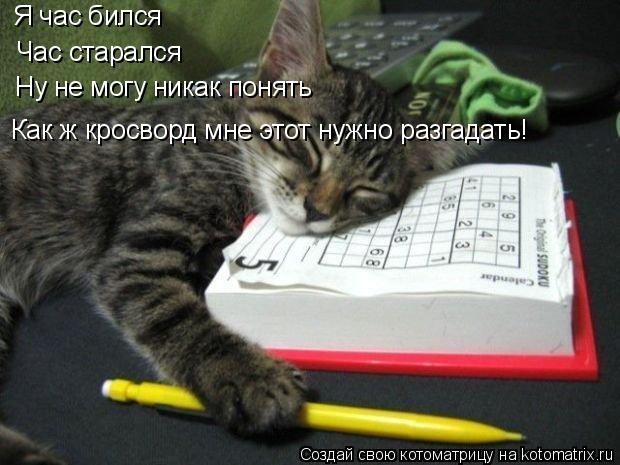 Как ж кросворд мне этот нужно разгадать! Час старался Я час бился Ну не могу никак понять... Котоматрица: Как ж кросворд мне этот нужно разгадать! Час старался Я час бился Ну не могу никак понять