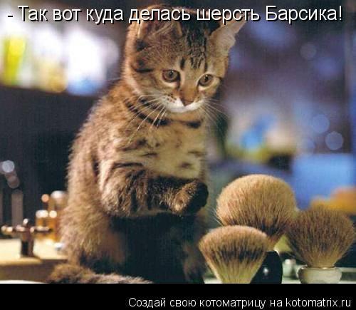 - Так вот куда делась шерсть Барсика!... Котоматрица: - Так вот куда делась шерсть Барсика!