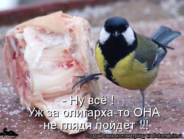 - Ну все ! Уж за олигарха-то ОНА не глядя пойдет !!! ..... Котоматрица: - Ну все ! Уж за олигарха-то ОНА не глядя пойдет !!! ..