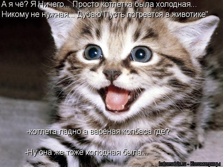 Котоматрица: А я чё? Я Ничего... Просто котлетка была холодная... Никому не нужная... Дубаю"Пусть погреется в животике" -котлета ладно а варёная колбаса где? -