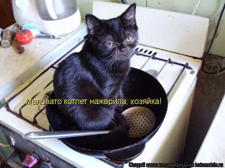 Котоматрица: Маловато котлет нажарила, хозяйка!