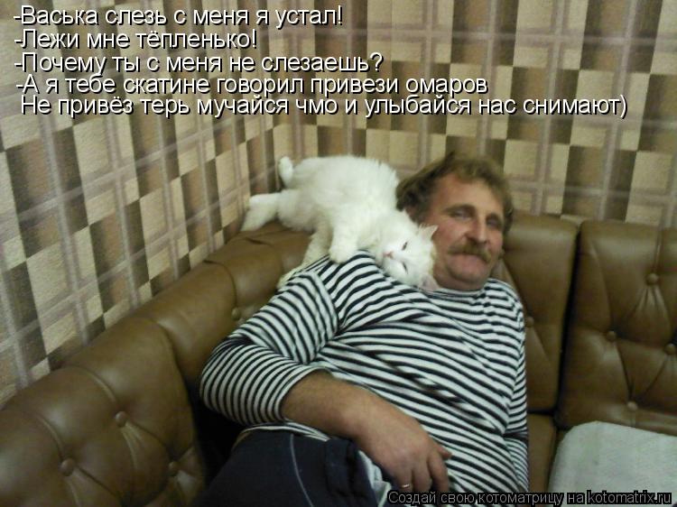 Котоматрица: -Васька слезь с меня я устал!  -Лежи мне тёпленько! -Почему ты с меня не слезаешь? -А я тебе скатине говорил привези омаров Не привёз терь мучай