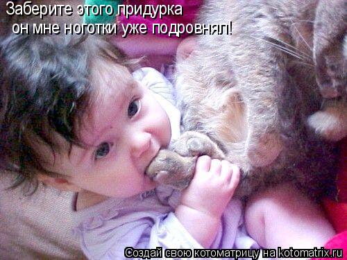 Котоматрица: Заберите этого придурка  он мне ноготки уже подровнял!