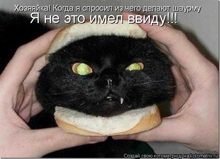 Котоматрица: Хозяяйка! Когда я спросил из чего делают шаурму  Я не это имел ввиду!!!