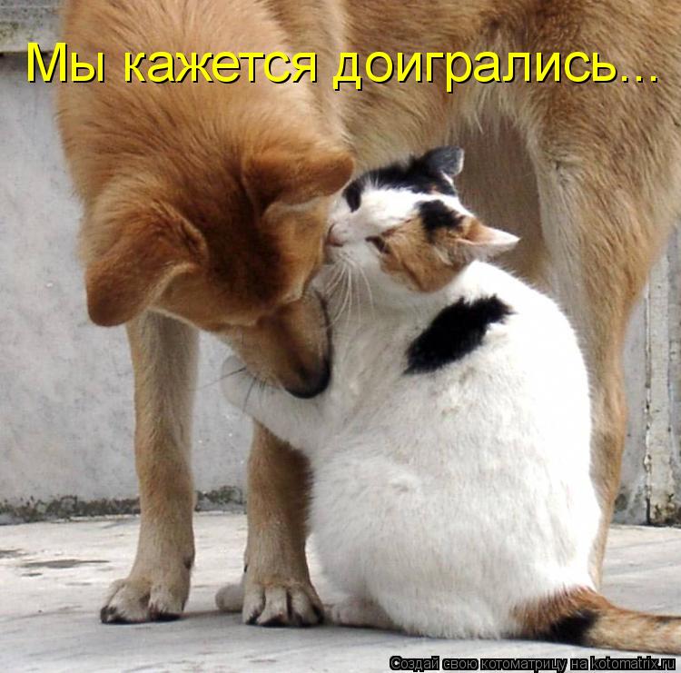 Котоматрица: Мы кажется доигрались...