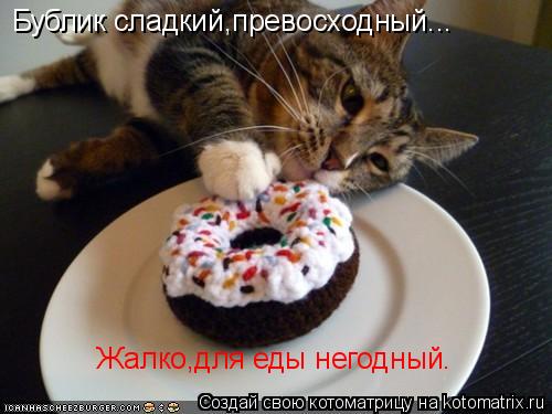 Котоматрица: Бублик сладкий,превосходный... Жалко,для еды негодный.