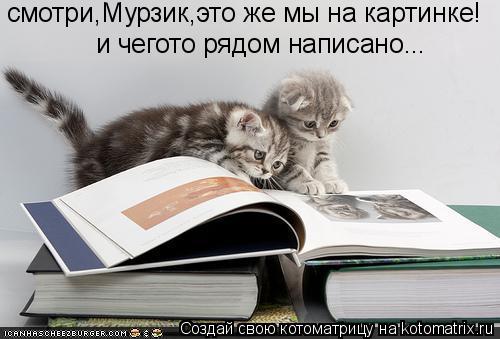Котоматрица: смотри,Мурзик,это же мы на картинке! и чегото рядом написано...