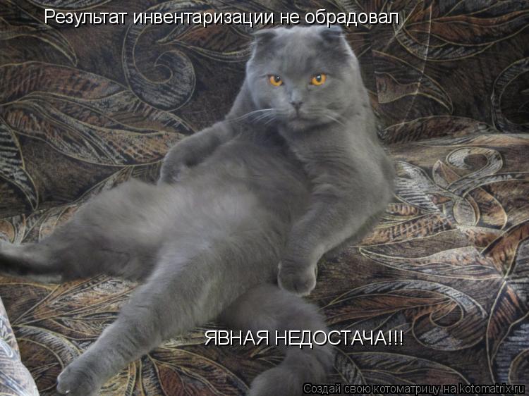 Котоматрица: Результат инвентаризации не обрадовал ЯВНАЯ НЕДОСТАЧА!!!