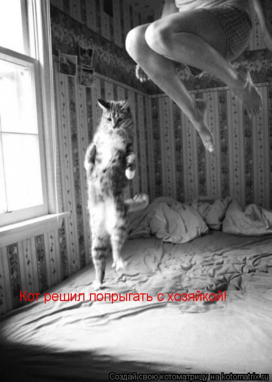 Котоматрица: Кот решил попрыгать с хозяйкой!