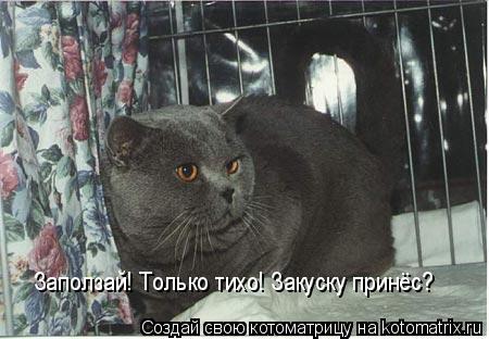 Котоматрица: Заползай! Только тихо! Закуску принёс?