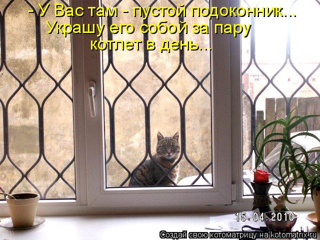 Котоматрица: - У Вас там - пустой подоконник... Украшу его собой за пару  котлет в день...