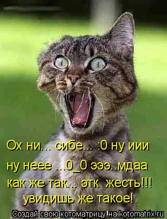 Котоматрица: Ох ни... сибе... :0 ну иии  ну неее ...0_0 эээ..мдаа как же так... этк  жесть!!!  увидишь же такое!