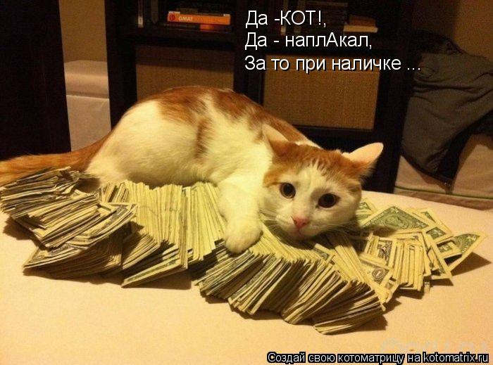 Котоматрица: Да -КОТ!, Да - наплАкал, За то при наличке ...