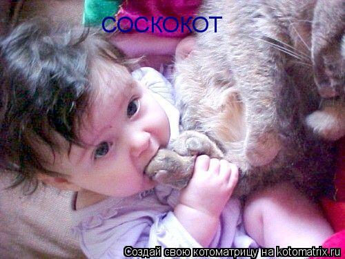 Котоматрица: СОСКОКОТ