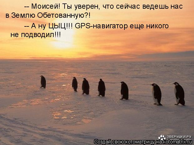 Котоматрица: -- Моисей! Ты уверен, что сейчас ведешь нас  в Землю Обетованную?! -- А ну ЦЫЦ!!! GPS-навигатор еще никого  не подводил!!!
