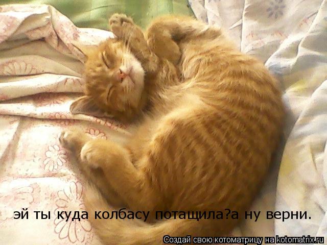 Котоматрица: эй ты куда колбасу потащила?а ну верни.