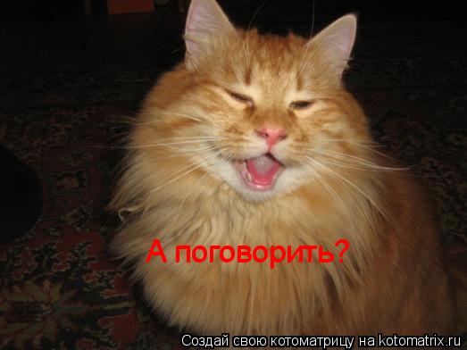 Котоматрица: А поговорить? А поговорить?