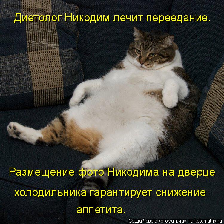 Диетолог Никодим лечит переедание. Размещение фото Никодима на дверце холодильника гарантирует снижен... Котоматрица: Диетолог Никодим лечит переедание. Размещение фото Никодима на дверце холодильника гарантирует снижение аппетита.