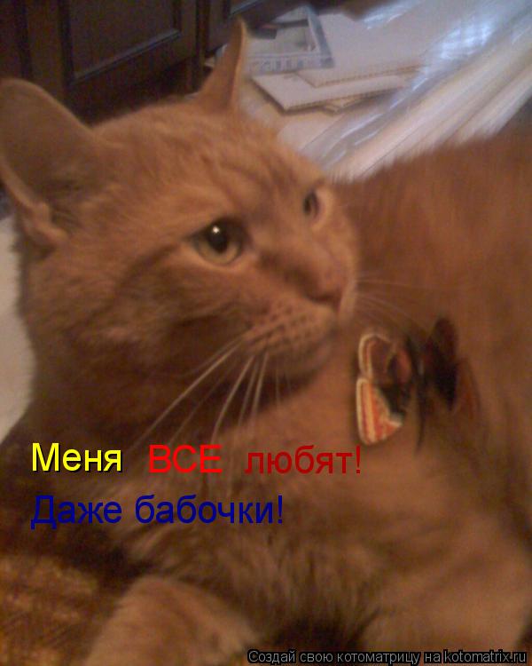 Меня ВСЕ любят! Даже бабочки!... Котоматрица: Меня ВСЕ любят! Даже бабочки!