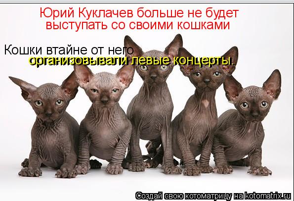 Юрий Куклачев больше не будет выступать со своими кошками Кошки втайне от него организовывали левы... Котоматрица: Юрий Куклачев больше не будет выступать со своими кошками Кошки втайне от него организовывали левые концерты. организовывали левые конц
