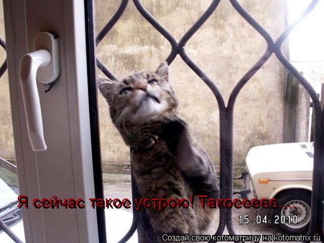 Я сейчас такое устрою! Такоеееее.... Я сейчас такое устрою! Такоеееее....... Котоматрица: Я сейчас такое устрою! Такоеееее.... Я сейчас такое устрою! Такоеееее....